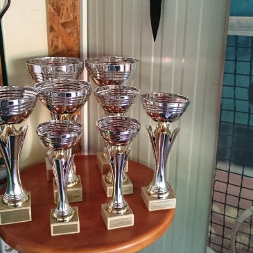 Odigran Turnir parova “Travnjak” 2015